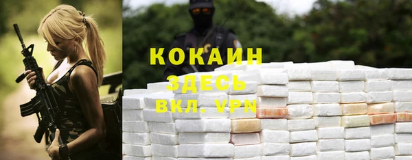 COCAINE Богородицк